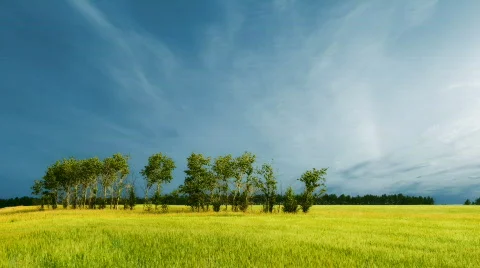 Landscape 2-1 Stock Footage 451680