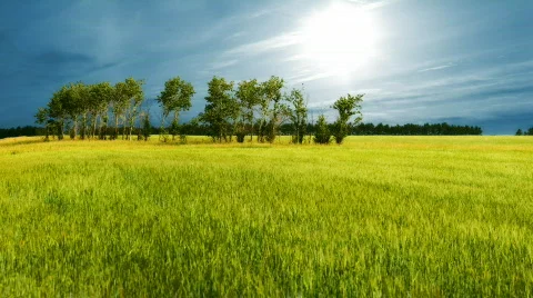 Landscape 2 Video stock 451695