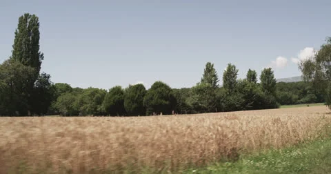 Landscape 3 Видео 26214752