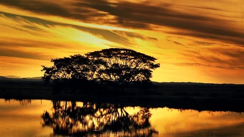 Landscape 3 Video stock 74872846