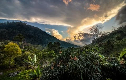 Landscape-3 Stock Photos