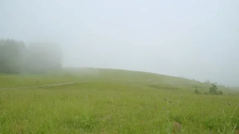 Landscape 4k Fog Stock Footage 247510355
