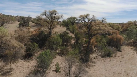 Landscape 4K Vídeos de archivo 107287182