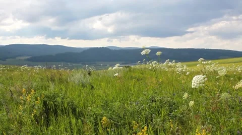 Landscape 5 Stock Footage 7740717