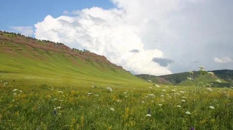 Landscape 7 Stock-Footage 7740690