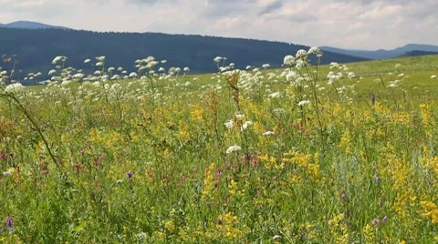 Landscape 9 Stock Footage 7740739