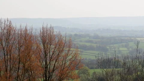 Landscape Abbey walk, copper trees with mist. 库存影片 136984550