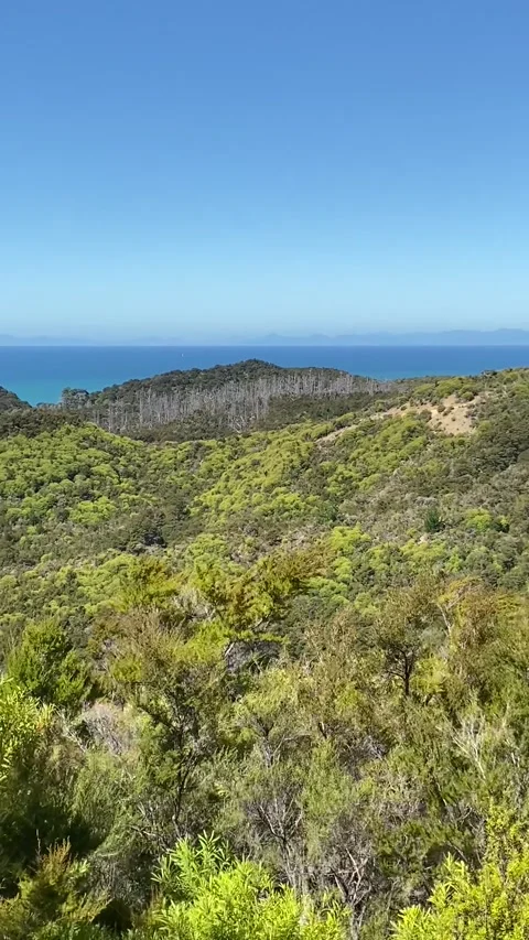 Landscape in Abel Tasman Vídeos de archivo 343952191