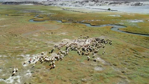 Landscape aerial view of mountains with river and green valley Stock Footage 221126406