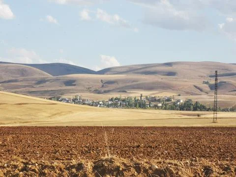 Landscape after the harvest of wheat just yellow Stock Photos