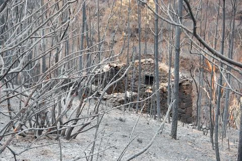 Landscape after the massive forest fires in Portugal Stock Photos