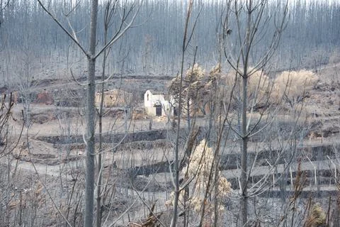 Landscape after the massive forest fires in Portugal Stock Photos