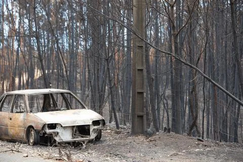 Landscape after the massive forest fires in Portugal Stock Photos
