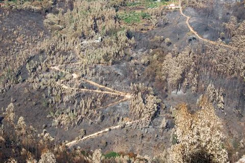 Landscape after the massive forest fires in Portugal Stock Photos