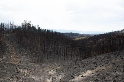 Landscape after the massive forest fires in Portugal Stock Photos