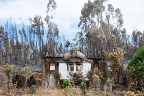 Landscape after the massive forest fires in Portugal Stock Photos