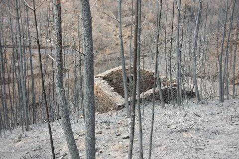 Landscape after the massive forest fires in Portugal Stock Photos