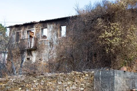 Landscape after the massive forest fires in Portugal Stock Photos