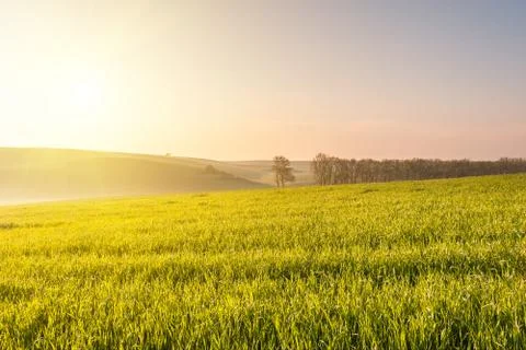 Landscape with Agricultural Fields Stock Photos