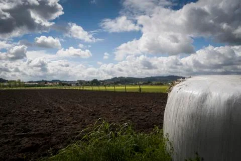 Landscape of agricultural fields Stock Photos