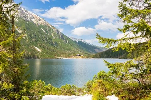 Landscape with alpine lake in spring Stock Photos
