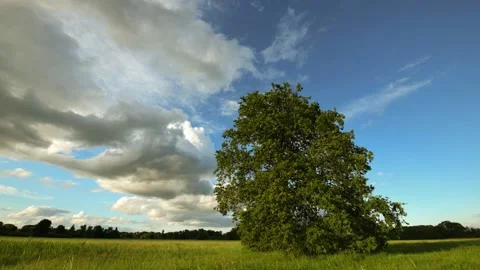 Landscape of the Alsace plain in time lapse at dusk. Stock Footage 166387565