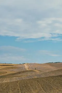 Landscape and blue sky in Toscana, summer 写真素材