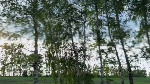 Landscape and landscape from the window of a moving car. Road trip. Stock Footage 156950094