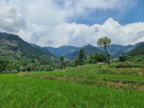 Landscape and Scenery Stock Photos