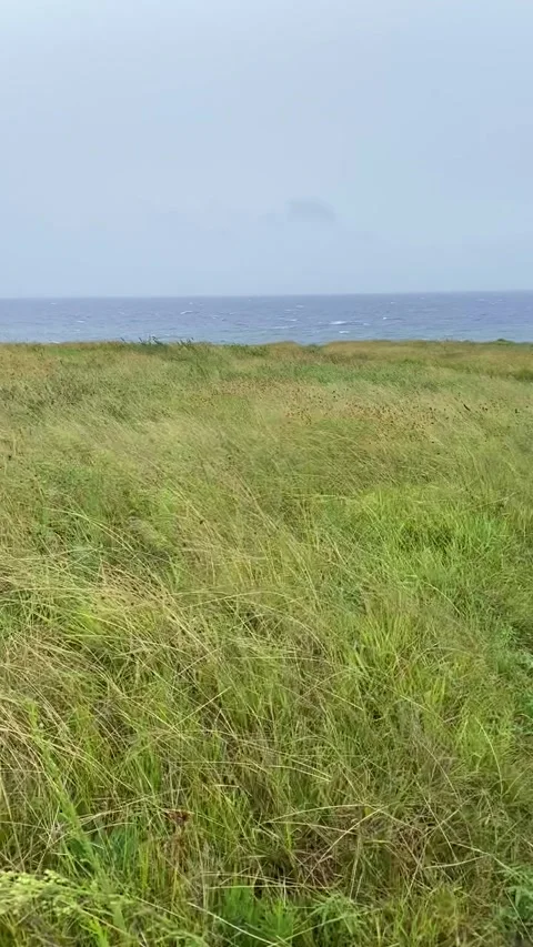 Landscape and seascape in Easter Island Stock Footage 342842210