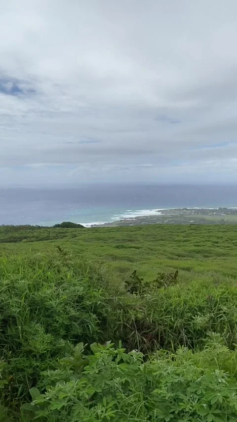 Landscape and shore in Easter Island 스톡 동영상 342836404