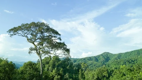 Landscape and White cloud Timelapse 스톡 동영상 106387929