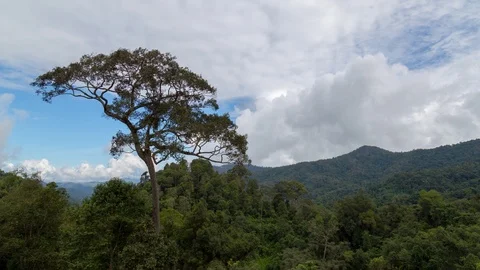 Landscape and White cloud Timelapse 스톡 동영상 106388968