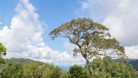 Landscape and White cloud Timelapse 스톡 동영상 106389360