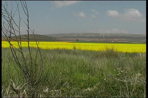 Landscape in Andalusia Stock Footage 370947