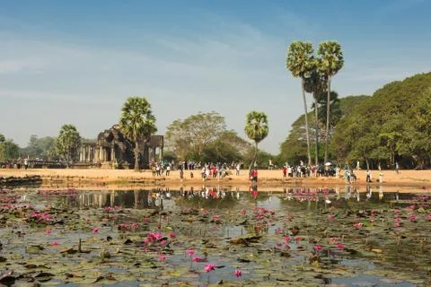 Landscape of Angkor Wat temple complex, pond with lotuses, trees and gates Stock Photos