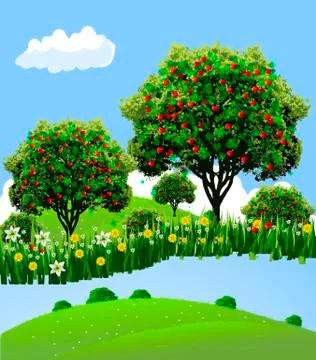 Landscape apple orchard Stock Illustration