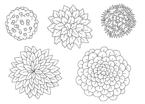 Landscape architect design element set graphic top sketch illustration vector Stock Illustration