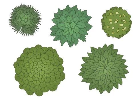 Landscape architect design set graphic color top sketch illustration vector Stock Illustration