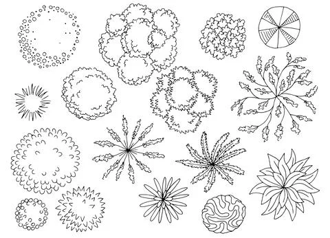 Landscape architect design set graphic black white top sketch vector Stock Illustration