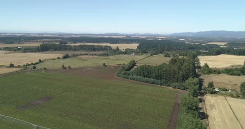 Landscape of argicultural fields Stock Footage 124854691