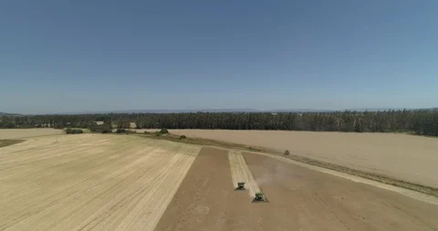 Landscape of argicultural fields Stock Footage 124855033