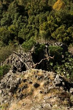 Landscape around the high cliffs Stock Photos