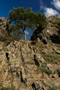 Landscape around the high cliffs Stock Photos