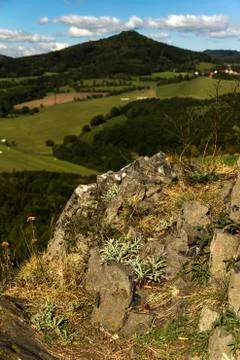 Landscape around the high cliffs Stock Photos
