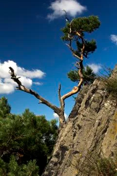 Landscape around the high cliffs Stock Photos
