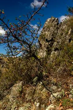 Landscape around the high cliffs Stock Photos