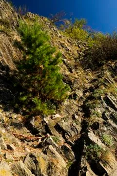 Landscape around the high cliffs Stock Photos
