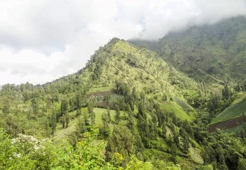 Landscape around Mount Bromo in Java Scenery around Bromo Tengger Semeru N... Stock-Fotos