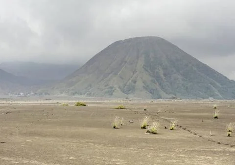 Landscape around Mount Bromo in Java Scenery around Bromo Tengger Semeru N... Stock-Fotos